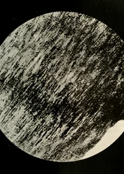 Fossiles Holz im Sandstein, von einer Moräne in 85° südlicher Breite, ca. 1908, 1909