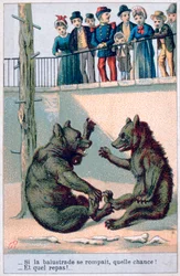 Französische zoologische Postkarte, 19. Jahrhundert