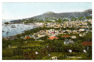 Funchal, Madeira, Anfang des 20. Jahrhunderts