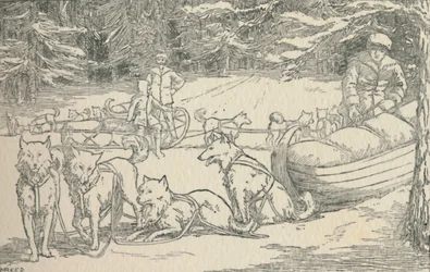 Pelzfänger, 1924