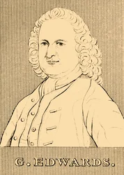 G. Edwards, 1694-1773