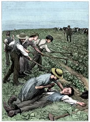 Gangsystem der Kinderarbeit, ca. 1885
