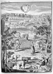 Heuernte, 1775
