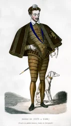 Heinrich III., König von Frankreich, 16. Jahrhundert, 1882-1884