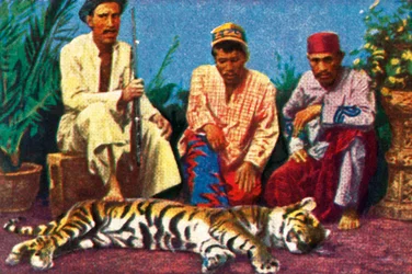 Jäger mit totem Tiger in Sumatra, ca. 1928