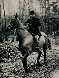 Wildschweinjagd in Frankreich, 1927, 1945