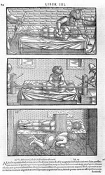 Illustration aus Liber canonis de medicinis cordialibus von Avicenna, 1556