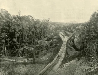 In den Blackall Ranges, 1901