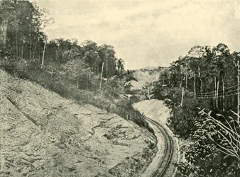 In den Blackall Ranges, 1901