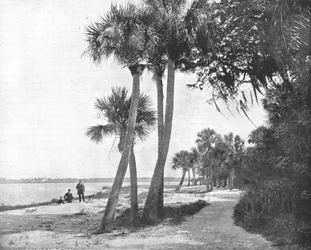 Indian River, Florida, USA, ca. 1900