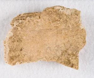 Beschriftetes Knochenfragment Orakelknochen, Späte Shang-Dynastie, ca. 1300-1050 v. Chr.