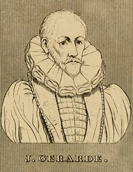 J. Gerarde, ca. 1545-1612, 1830