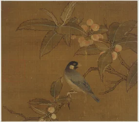 Java-Spatz auf einem Beerenzweig, Ming-Dynastie