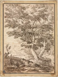 Landschaft mit Baumgruppe, 17. Jahrhundert