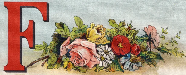 Buchstabe F: Blumen. Gravur in "Alphabet de ma petite fille". Bernardin-Bechet und Fils, Buchhändler-Verleger, Paris, um 1895. Unzerbrechliches Album auf Leinwand. Bibliotheque des Bebes. 12 Seiten. Album mit einer Lesemethode und einem illustrierten Abece