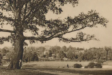 Blick von den grünen Hängen von Caen Wood auf den Kirchturm von Old Highgate, ca. 1935