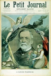 Louis Pasteur, französischer Chemiker, 1895