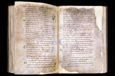 Manche Nr. 066, Stadt Mortain, Schatz der Kollegiatkirche Saint Evroult, Evangelium des 10. Jahrhunderts