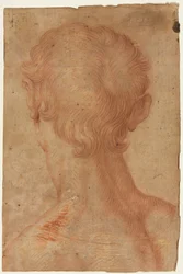 Männerkopf von hinten, 16. Jahrhundert