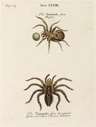 Mikroskopie