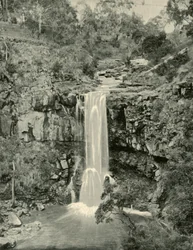 Moorabool Falls, Victoria, 1901.