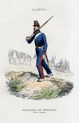 Gebirgsartillerie, Französische Armee in Algerien