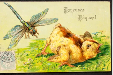 Alte Postkarte/Frohe Ostern/Küken/Libelle