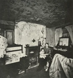 Einzimmerhaus für fünf, 1938