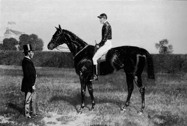 Ormonde, 1883-1904, 1911