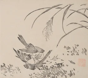 Seite aus Shi Zhu Zhai