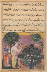 Seite aus Tales of a Parrot Tuti-nama: Achtzehnte Nacht: Der Prinz, ca. 1560