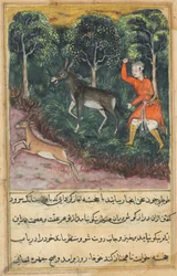Seite aus Geschichten eines Papageis Tuti-nama: Einundvierzigste Nacht: Der Gärtner ergreift..., ca. 1560