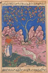 Seite aus Geschichten eines Papageis Tuti-nama: Dreißigste Nacht: Die Frau im Gespräch, um 1560