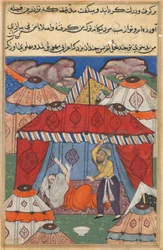 Seite aus Geschichten eines Papageis Tuti-nama: Vierundzwanzigste Nacht: Der verkleidete Araber..., ca. 1560