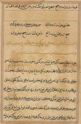 Seite aus Geschichten eines Papageis Tuti-nama: Textseite, ca. 1560