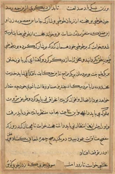 Seite aus Geschichten eines Papageis Tuti-nama: Textseite, ca. 1560