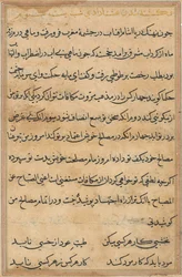 Seite aus Geschichten eines Papageis Tuti-nama: Textseite, ca. 1560
