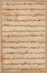 Seite aus Geschichten eines Papageis Tuti-nama: Textseite, ca. 1560