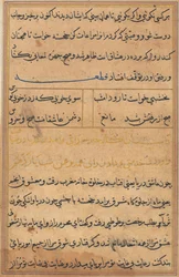 Seite aus Geschichten eines Papageis Tuti-nama: Textseite, ca. 1560