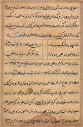 Seite aus Geschichten eines Papageis Tuti-nama: Textseite, ca. 1560