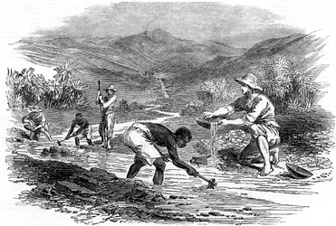 Goldwaschen während des kalifornischen Goldrauschs von 1849