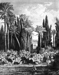 Fürstlicher Garten in Kairo, Ägypten, 1880