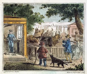 Öffentliche Waage zur Viehgewichtsmessung auf einem Markt, 1867
