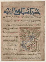 Eigenschaften von Ringeltauben recto, Über die Vorteile von Wachteln verso, ca. 1300