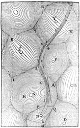 Rene Descartes Modell der Struktur des Universums, 1668