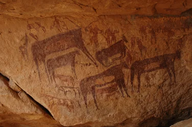 Felskunst, Vorgeschichte: Felsmalerei einer Gruppe von Rindern, darunter ein Knie und eine Gruppe von Figuren, darunter Bogenschützen, in einem verzierten Schutzraum im Uweinat-Massiv, Sudan (Karkur-Talh oder Karkur Talh). Zeitraum von 8000 bis 3000 Jahre 