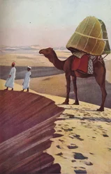 Sahara, ca. 1930er