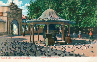 Salut von Konstantinopel - Tauben im Hof von Eyoub, ca. 1900
