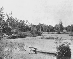 Szene in Mississippi, USA
