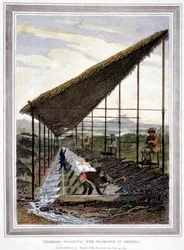 Sklaven waschen Diamanten unter Aufsicht von Aufsehern mit Peitschen, Brasilien, 1815